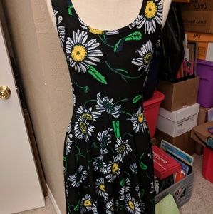 Lularoe Small Sunflower Nicole Dress